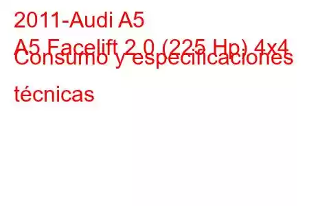 2011-Audi A5
A5 Facelift 2.0 (225 Hp) 4x4 Consumo y especificaciones técnicas