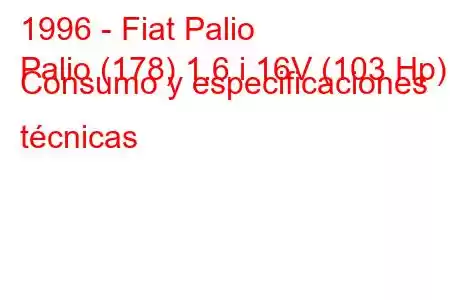 1996 - Fiat Palio
Palio (178) 1.6 i 16V (103 Hp) Consumo y especificaciones técnicas