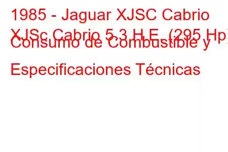 1985 - Jaguar XJSC Cabrio
XJSc Cabrio 5.3 H.E. (295 Hp) Consumo de Combustible y Especificaciones Técnicas