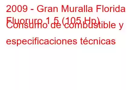 2009 - Gran Muralla Florida
Fluoruro 1.5 (105 Hp) Consumo de combustible y especificaciones técnicas