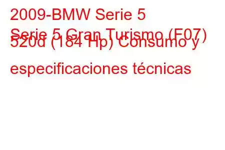 2009-BMW Serie 5
Serie 5 Gran Turismo (F07) 520d (184 Hp) Consumo y especificaciones técnicas