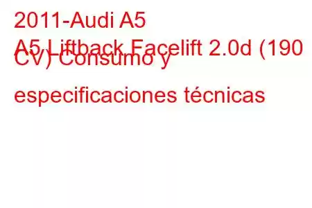 2011-Audi A5
A5 Liftback Facelift 2.0d (190 CV) Consumo y especificaciones técnicas