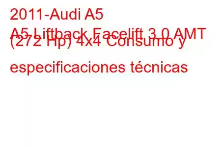 2011-Audi A5
A5 Liftback Facelift 3.0 AMT (272 Hp) 4x4 Consumo y especificaciones técnicas