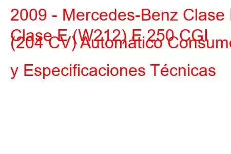 2009 - Mercedes-Benz Clase E
Clase E (W212) E 250 CGI (204 CV) Automático Consumo y Especificaciones Técnicas