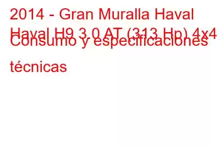 2014 - Gran Muralla Haval
Haval H9 3.0 AT (313 Hp) 4x4 Consumo y especificaciones técnicas