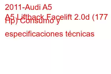 2011-Audi A5
A5 Liftback Facelift 2.0d (177 Hp) Consumo y especificaciones técnicas