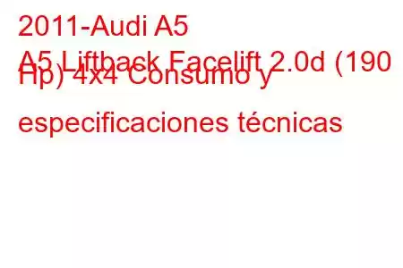 2011-Audi A5
A5 Liftback Facelift 2.0d (190 Hp) 4x4 Consumo y especificaciones técnicas