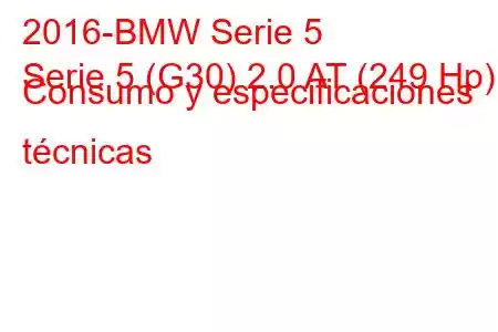 2016-BMW Serie 5
Serie 5 (G30) 2.0 AT (249 Hp) Consumo y especificaciones técnicas