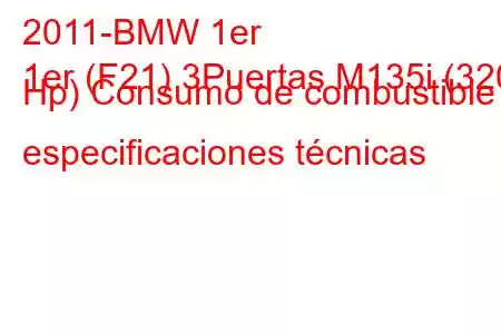 2011-BMW 1er
1er (F21) 3Puertas M135i (320 Hp) Consumo de combustible y especificaciones técnicas