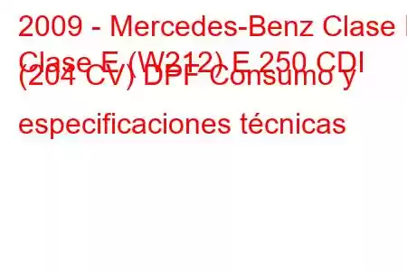 2009 - Mercedes-Benz Clase E
Clase E (W212) E 250 CDI (204 CV) DPF Consumo y especificaciones técnicas