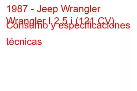 1987 - Jeep Wrangler
Wrangler I 2.5 i (121 CV) Consumo y especificaciones técnicas