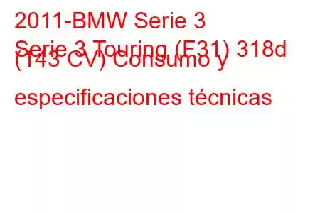 2011-BMW Serie 3
Serie 3 Touring (F31) 318d (143 CV) Consumo y especificaciones técnicas