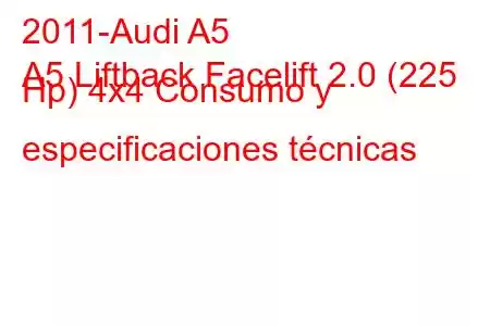 2011-Audi A5
A5 Liftback Facelift 2.0 (225 Hp) 4x4 Consumo y especificaciones técnicas