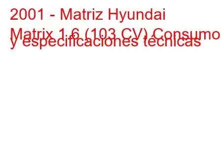 2001 - Matriz Hyundai
Matrix 1.6 (103 CV) Consumo y especificaciones técnicas