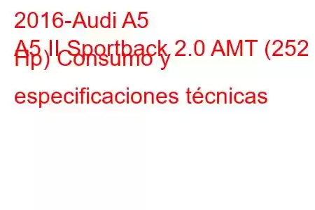 2016-Audi A5
A5 II Sportback 2.0 AMT (252 Hp) Consumo y especificaciones técnicas