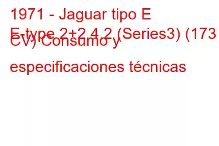 1971 - Jaguar tipo E
E-type 2+2 4.2 (Series3) (173 CV) Consumo y especificaciones técnicas