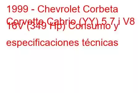 1999 - Chevrolet Corbeta
Corvette Cabrio (YY) 5.7 i V8 16V (349 Hp) Consumo y especificaciones técnicas