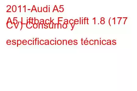 2011-Audi A5
A5 Liftback Facelift 1.8 (177 CV) Consumo y especificaciones técnicas