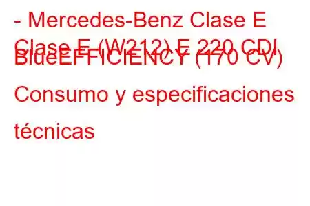 - Mercedes-Benz Clase E
Clase E (W212) E 220 CDI BlueEFFICIENCY (170 CV) Consumo y especificaciones técnicas