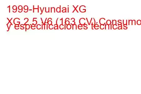 1999-Hyundai XG
XG 2.5 V6 (163 CV) Consumo y especificaciones técnicas