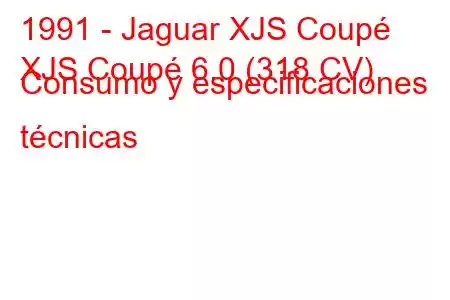 1991 - Jaguar XJS Coupé
XJS Coupé 6.0 (318 CV) Consumo y especificaciones técnicas