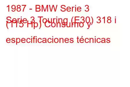 1987 - BMW Serie 3
Serie 3 Touring (E30) 318 i (115 Hp) Consumo y especificaciones técnicas