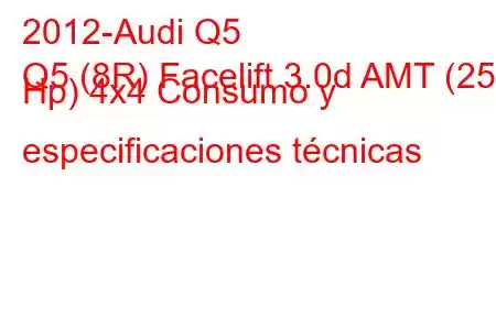 2012-Audi Q5
Q5 (8R) Facelift 3.0d AMT (258 Hp) 4x4 Consumo y especificaciones técnicas