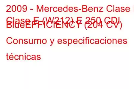 2009 - Mercedes-Benz Clase E
Clase E (W212) E 250 CDI BlueEFFICIENCY (204 CV) Consumo y especificaciones técnicas