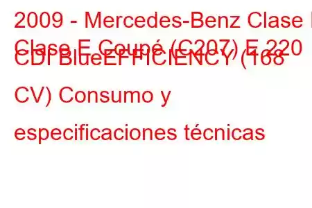 2009 - Mercedes-Benz Clase E
Clase E Coupé (C207) E 220 CDI BlueEFFICIENCY (168 CV) Consumo y especificaciones técnicas