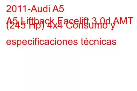 2011-Audi A5
A5 Liftback Facelift 3.0d AMT (245 Hp) 4x4 Consumo y especificaciones técnicas