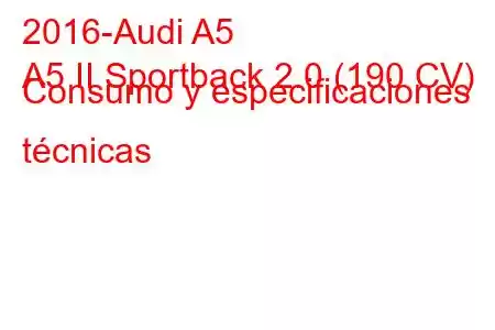 2016-Audi A5
A5 II Sportback 2.0 (190 CV) Consumo y especificaciones técnicas