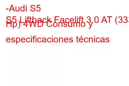 -Audi S5
S5 Liftback Facelift 3.0 AT (333 Hp) 4WD Consumo y especificaciones técnicas