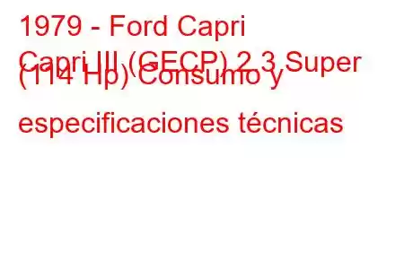 1979 - Ford Capri
Capri III (GECP) 2.3 Super (114 Hp) Consumo y especificaciones técnicas