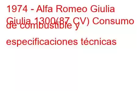 1974 - Alfa Romeo Giulia
Giulia 1300(87 CV) Consumo de combustible y especificaciones técnicas