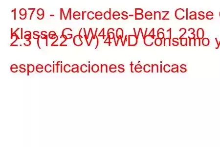 1979 - Mercedes-Benz Clase G
Klasse G (W460, W461 230 2.3 (122 CV) 4WD Consumo y especificaciones técnicas