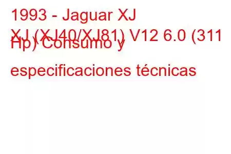 1993 - Jaguar XJ
XJ (XJ40/XJ81) V12 6.0 (311 Hp) Consumo y especificaciones técnicas