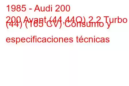 1985 - Audi 200
200 Avant (44,44Q) 2.2 Turbo (44) (165 CV) Consumo y especificaciones técnicas