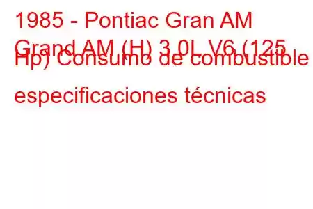 1985 - Pontiac Gran AM
Grand AM (H) 3.0L V6 (125 Hp) Consumo de combustible y especificaciones técnicas