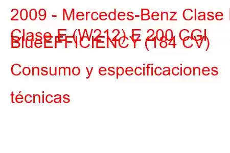 2009 - Mercedes-Benz Clase E
Clase E (W212) E 200 CGI BlueEFFICIENCY (184 CV) Consumo y especificaciones técnicas