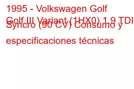 1995 - Volkswagen Golf
Golf III Variant (1HX0) 1.9 TDI Syncro (90 CV) Consumo y especificaciones técnicas