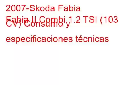 2007-Skoda Fabia
Fabia II Combi 1.2 TSI (103 CV) Consumo y especificaciones técnicas