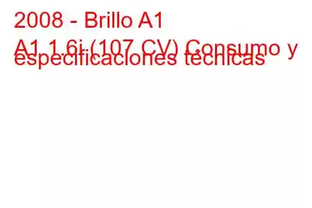 2008 - Brillo A1
A1 1.6i (107 CV) Consumo y especificaciones técnicas