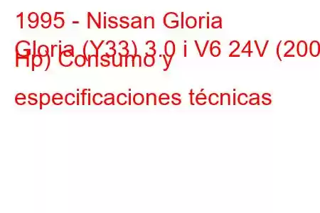 1995 - Nissan Gloria
Gloria (Y33) 3.0 i V6 24V (200 Hp) Consumo y especificaciones técnicas