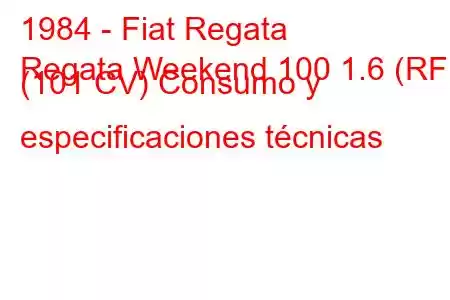 1984 - Fiat Regata
Regata Weekend 100 1.6 (RF) (101 CV) Consumo y especificaciones técnicas