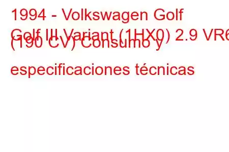 1994 - Volkswagen Golf
Golf III Variant (1HX0) 2.9 VR6 (190 CV) Consumo y especificaciones técnicas