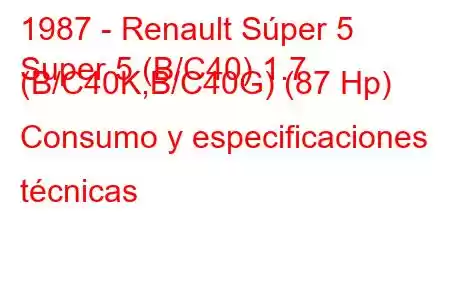 1987 - Renault Súper 5
Super 5 (B/C40) 1.7 (B/C40K,B/C40G) (87 Hp) Consumo y especificaciones técnicas