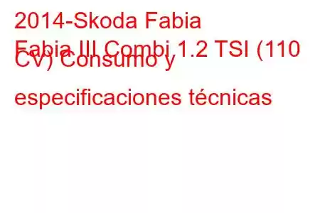 2014-Skoda Fabia
Fabia III Combi 1.2 TSI (110 CV) Consumo y especificaciones técnicas