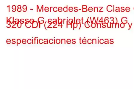 1989 - Mercedes-Benz Clase G
Klasse G cabriolet (W463) G 320 CDI (224 Hp) Consumo y especificaciones técnicas