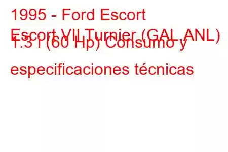 1995 - Ford Escort
Escort VII Turnier (GAL,ANL) 1.3 i (60 Hp) Consumo y especificaciones técnicas