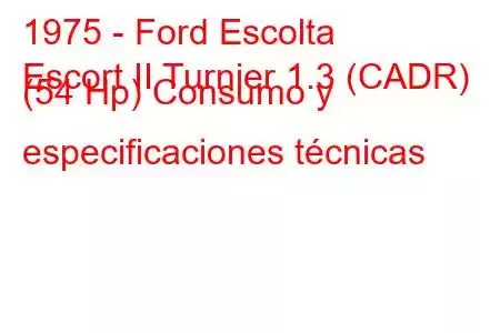 1975 - Ford Escolta
Escort II Turnier 1.3 (CADR) (54 Hp) Consumo y especificaciones técnicas